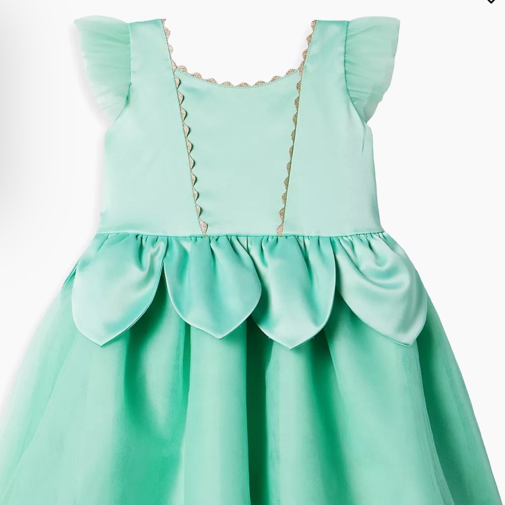 Princess and the frog costume